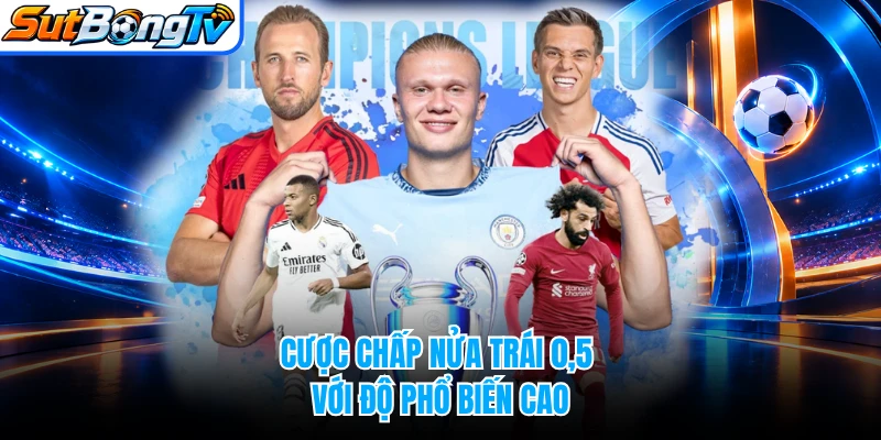 Cược chấp nửa trái 0,5 với độ phổ biến cao