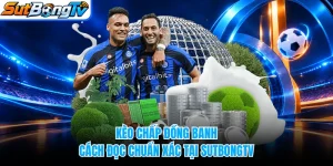 Kèo Chấp Đồng Banh - Cách Đọc Chuẩn Xác Tại SUTBONGTV