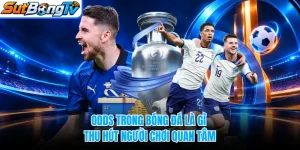 Odds Trong Bóng Đá Là Gì? Yếu Tố Chọn Kèo SUTBONGTV