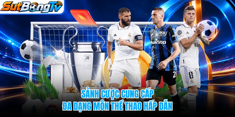 Sảnh cược cung cấp đa dạng môn thể thao hấp dẫn