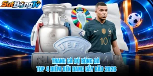 Trang Cá Độ Bóng Đá - Top 4 Điểm Đến Đang Gây Bão 2026